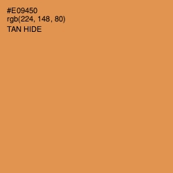 #E09450 - Tan Hide Color Image
